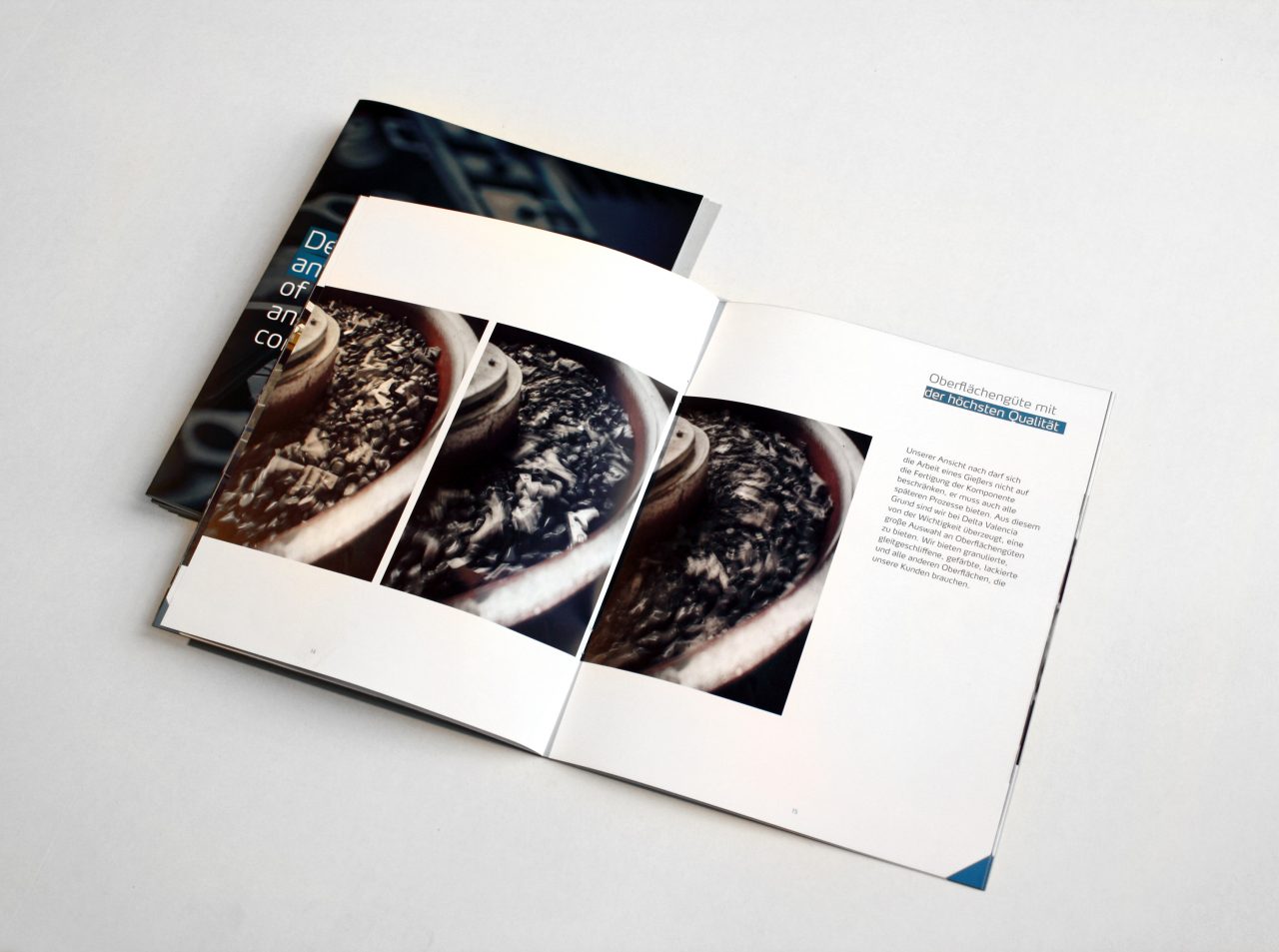 Diseño de catálogo para Delta Valencia